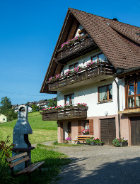 2955LibdigGrill