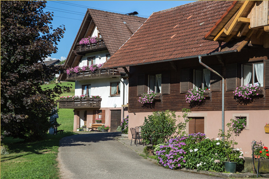 slide5817LibdigHaupt13080