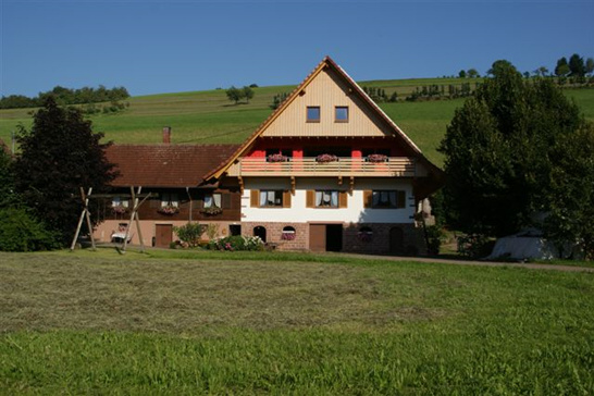 slide5817LibdigHaupt13082